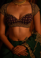 Mayur Rang Blouse
