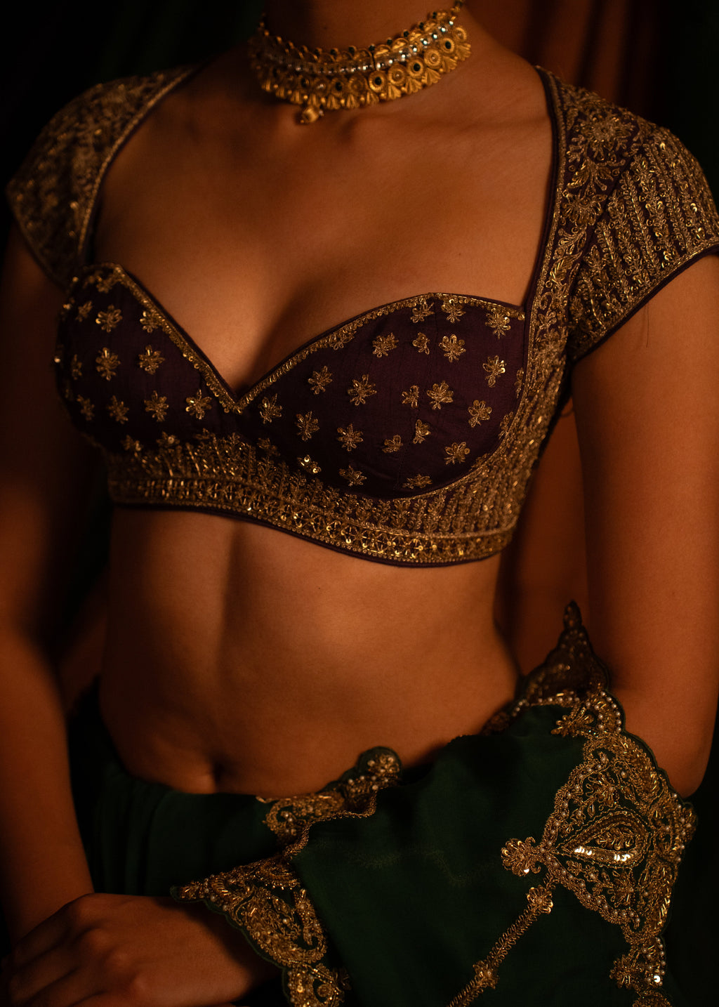 Mayur Rang Blouse