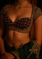 Mayur Rang Blouse