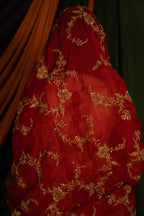 Surkh Rang Lehenga Set