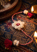 Chandni Rakhi
